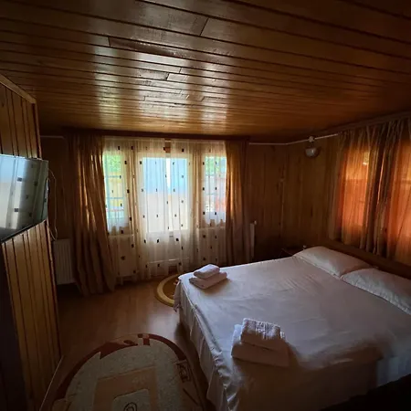 Pensiunea Stefania Holiday home *