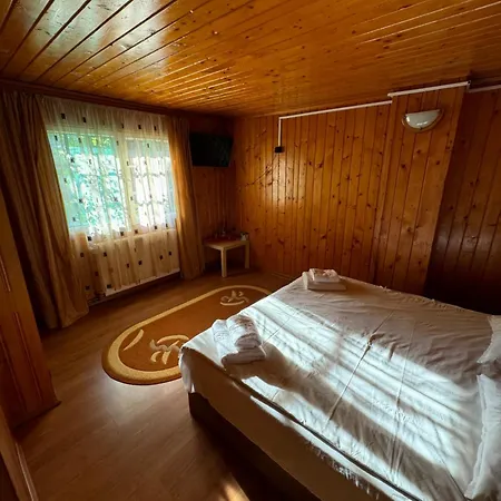 Pensiunea Stefania Holiday home