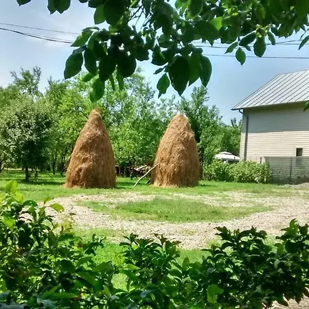 Holiday home Pensiunea Stefania *